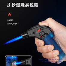 ���L�����c���������C�����c����ѩ���c���L�ֱ�������