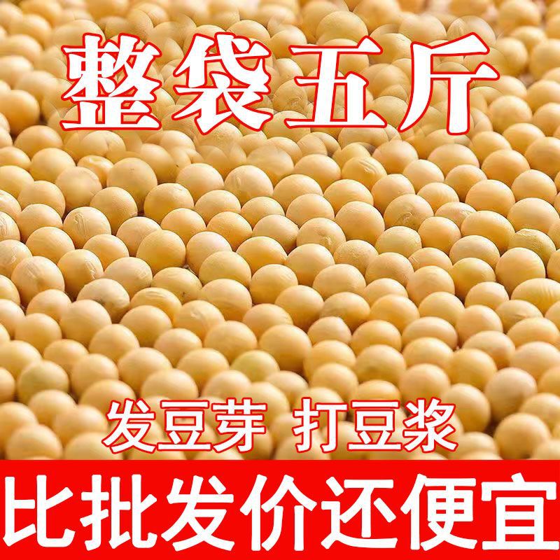 Soy wholesale Northeast Heilongjiang Farm Production Soy Country Grain Coarse Cereals Soybean Milk Bean sprouts Non-GM