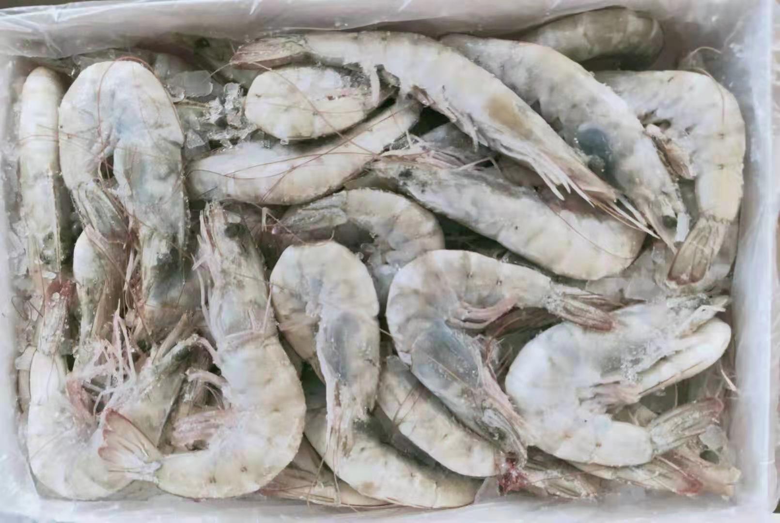 湛江有出海渔船吗吗 湛江出海鲜吗