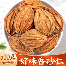 香砂仁500g新货四川金砂仁川沙仁火锅烧烤炖肉卤菜调味料香料大全