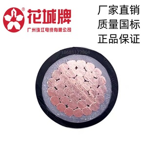 �V���齭��|������ZC-YJV1*185ƽ����ȼ�p�z�~о늾�����ZC-BVV