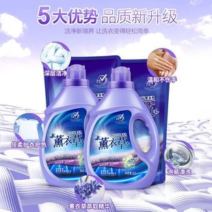 Factory Direct Sales Quality Upgraded Lavender Laundry Detergent, Sterilization, Mite Removal, Long-Lasting Fragrance, Private Domain Agent, Ready Stock, Quick Delivery