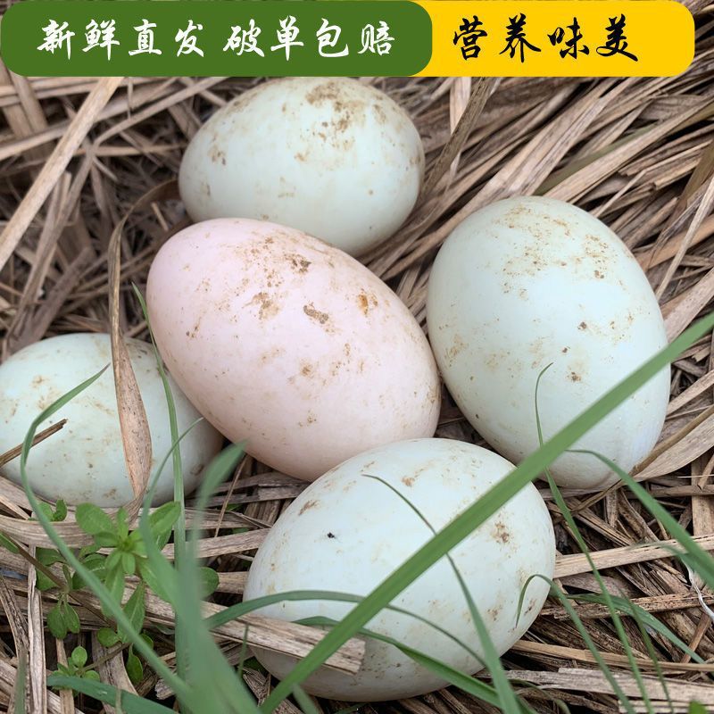 Duck&#39;s egg Anhui fresh Duck egg blue Farm Backyard Unboiled water ecology Ma duck eggs One piece On behalf of