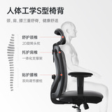 西昊 M18M16 Эргономичное кресло офисное председатель Компьютерный председатель E -Sports Стул подъемного кресла для трансфера дома удобное длительное сиденье