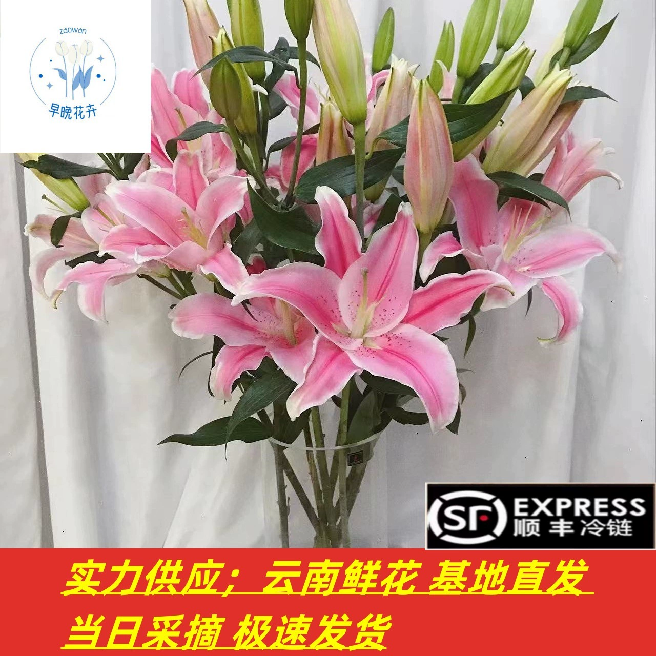 Духи цветы лилии оптом Юньнань цветы Прямая партия Свадебные украшения цветочный магазин цветы общественные группы закупки поставки