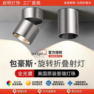 包豪斯不锈钢色可调角度led筒灯射灯明装可折叠免开孔客厅天花灯