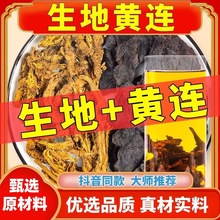 生地和黄连中药材正品生地黄非丸野生新鲜组合茶包泡水喝鸡爪黄连