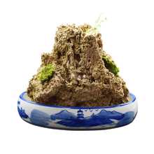 批发上水石原石天然吸水石盆景摆件麦管石假山原石奇石造景水秀石