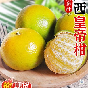 ���ڏV���ʵ۸����r����ˮ�������Fժ�۽���ؕ�������Ϙ������]