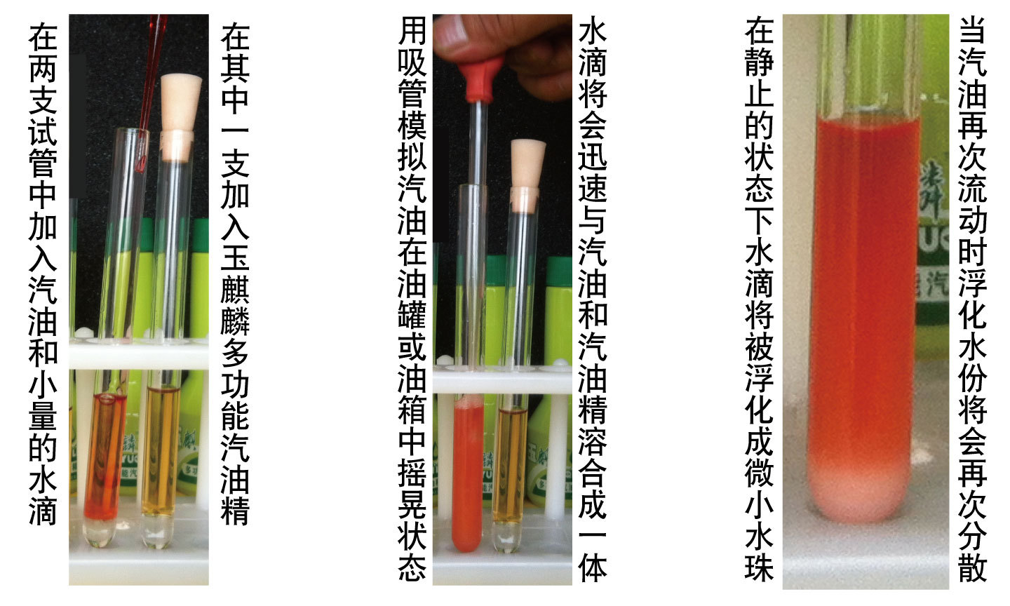 Yuqilin 6 Bottles Box 50ml Multifunctional Gasoline Additive
