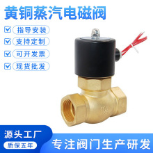 黄铜蒸汽电磁阀/US气阀高温锅炉蒸汽阀2分4分6分1寸DN1520254050