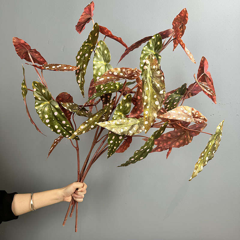 Artificial Flowers and Green Plants, Begonia Leaves, Cross-Border Wholesale, Nordic Home Decor, Model Room, Hotel Decoration Plants, Peace Lily Leaves Artificial Flowers and Green Plants, Begonia Leaves, Cross-Border Wholesale, Nordic Home Decor, Model Room, Hotel Decoration Plants, Peace Lily Leaves