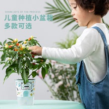 奶茶杯兒童植物種植科學實驗套裝觀察創意盆栽種菜種花小小園丁