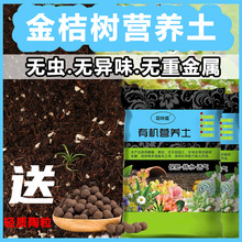 ��ۘ�I�B�� ͨ���͌���������͸��ֲ�����Ի��ܷNֲ��