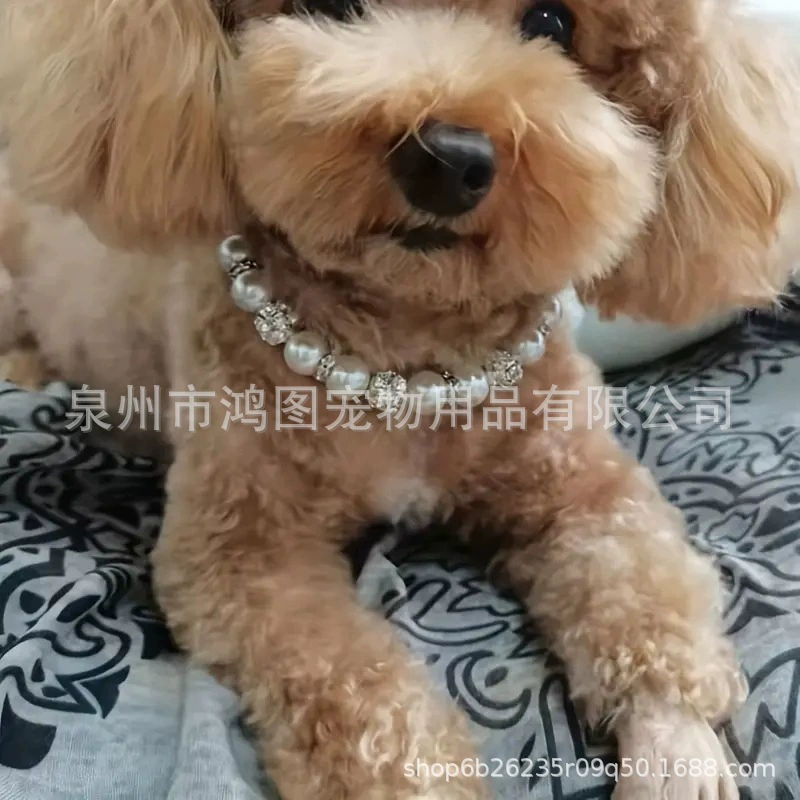 Ошейник для собак мелких и средних пород, новый, в стиле принцессы с жемчугом, с полым бриллиантовым шариком, из чистого белого жемчуга