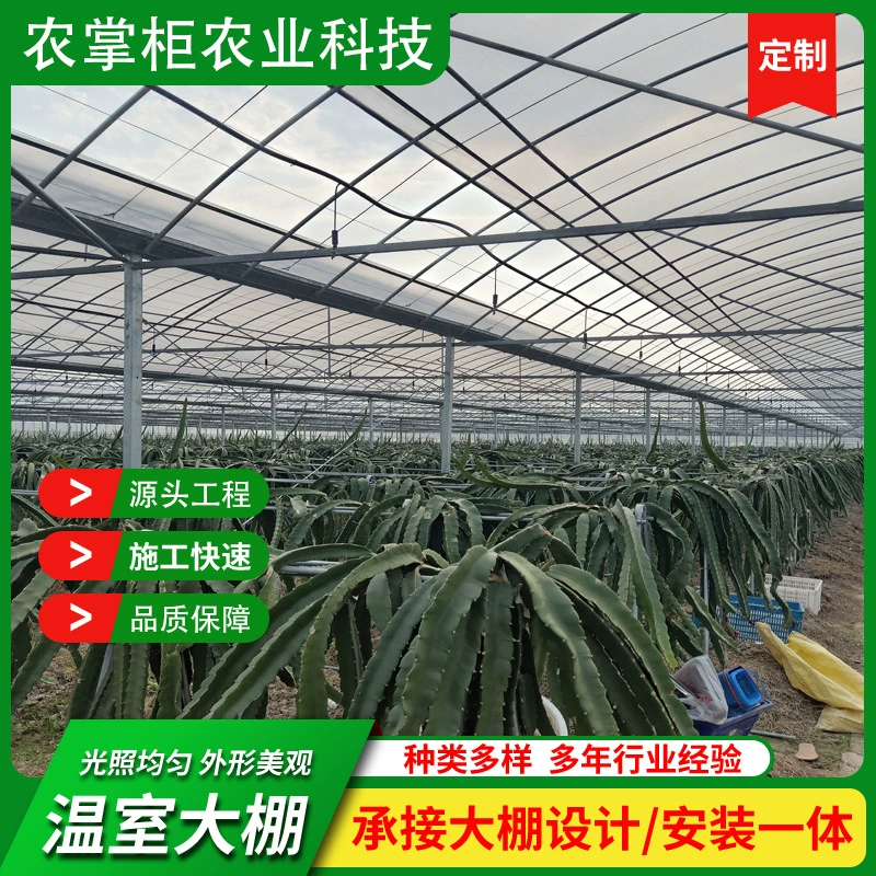 Проект многопролетной теплицы с драконьим фруктом, сельскохозяйственное посадка арбуза, клубники и цветов, оцинкованные тепличные трубы горячего цинкования, льготное обращение для больших объемов.