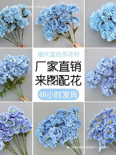 �{ɫ����c������Y��ˇ�廨�ٻ���Y�õ��ӆ�����b�