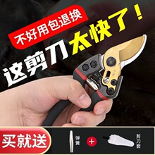 修羊蹄子剪刀修猪蹄钳子兽用剪脚趾指甲剪刀牛蹄修理工具