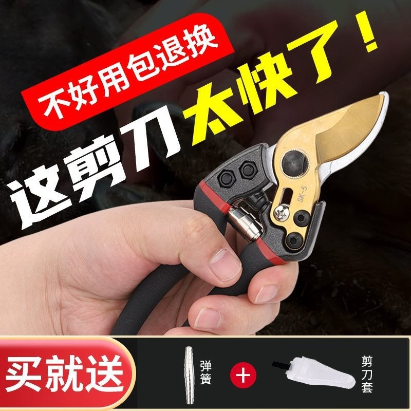 修羊蹄子剪刀修猪蹄钳子兽用剪脚趾指甲剪刀牛蹄修理工具