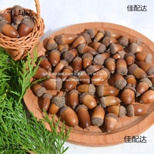 ȻĹȻӸɹ}QDIYֹ׃@bù