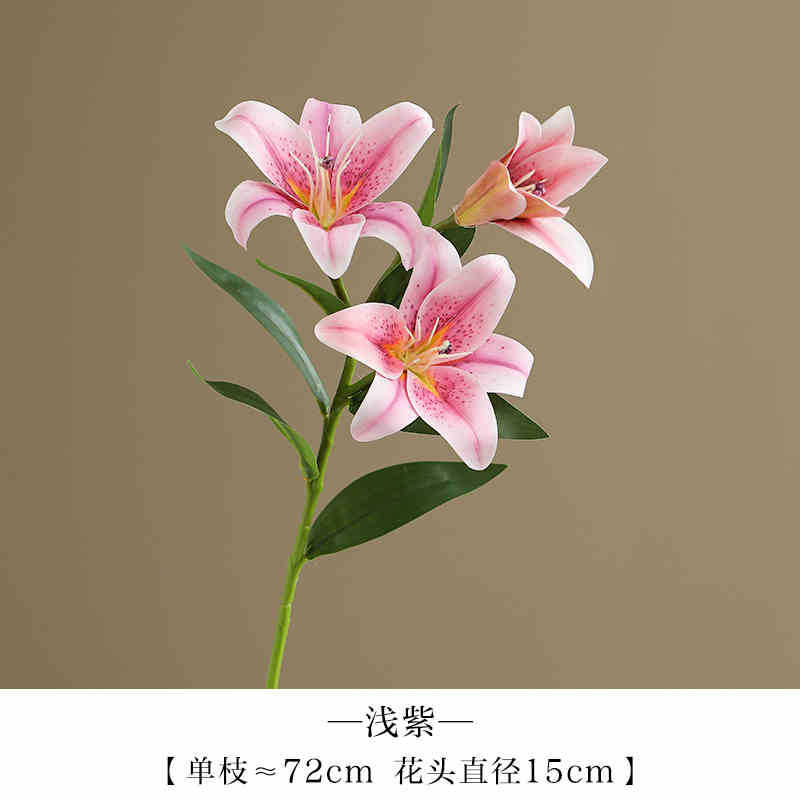 밝은 보라색