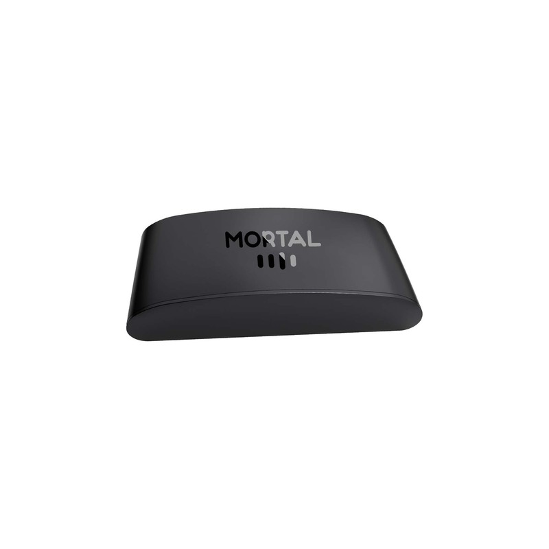 新しい Mortal R1 ウルトラ外国貿易ボックス H313 デュアル WIFI + Bluetooth Android 14.0 TV ボックス|undefined
