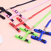Spot cat led the rope tie the cat rope and the cat rope pet chest strap can choose the cat chain cat traction cat