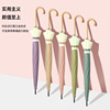 Korean Edition solar system Straight Umbrella new pattern Simplicity ins Like a breath of fresh air 16 Mosaic Solid automatic Long-handled umbrella rain or shine