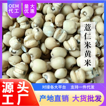 产地直供25kg/袋贵州散装黄薏仁米 大货批发糙薏米黄薏米原料供应