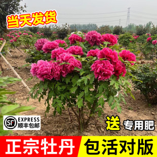 ĵ���������Ϙ�������ڎ������̓����ܴ����Ի����ļ�ĵ�����N