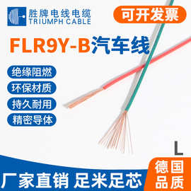 胜牌厂家直发FLR9Y-B德标汽车线低压薄壁交联辐照高温线0.35-6MM