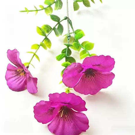 Purple red