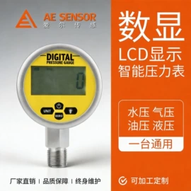 压力变送器;压力表;电容式变送器