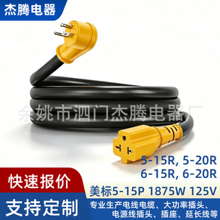 NEMA5?15P�D4��1ĸ��5?20R/6?15R/6?20R 12AWG 15A125V�Դ��