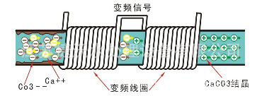 管道是广谱感应仪