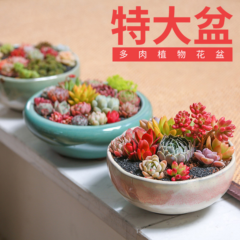 Extra-Large Succulent Plant Pot, Large Diameter Coarse Pottery, Special Price for Green Plants, Creative Platter Ceramic