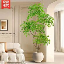 ������Gֲ�p���҃ȴ���������Կ͏d�b[�������ٻ���