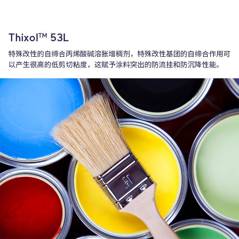 샘플 Arkema Gaotai Thixol 53L 아크릴 알칼리가 목재 코팅을위한 두꺼운 산업용 코팅