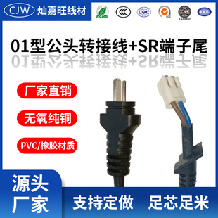 Source manufacturer 01 type two plug male adapter SR terminal tail power cord