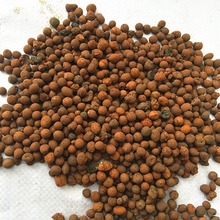 园林陶粒/无土栽培/隔水透气/园艺陶粒小号