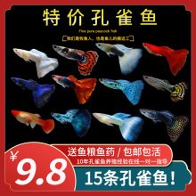 �^�p�~С�͵�ˮ���R������ȸ�~�Ꭷ�~���w���N���B���~�~��С�~