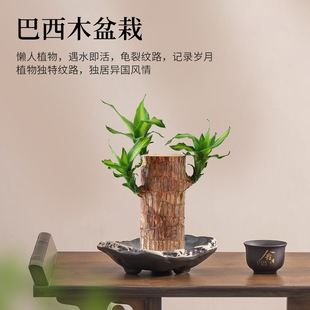 Chinese Style Brazilian Wood Water Flowerpot Vintage Ceramic Household Tall Large Diameter Desktop Plant Pot with Tray