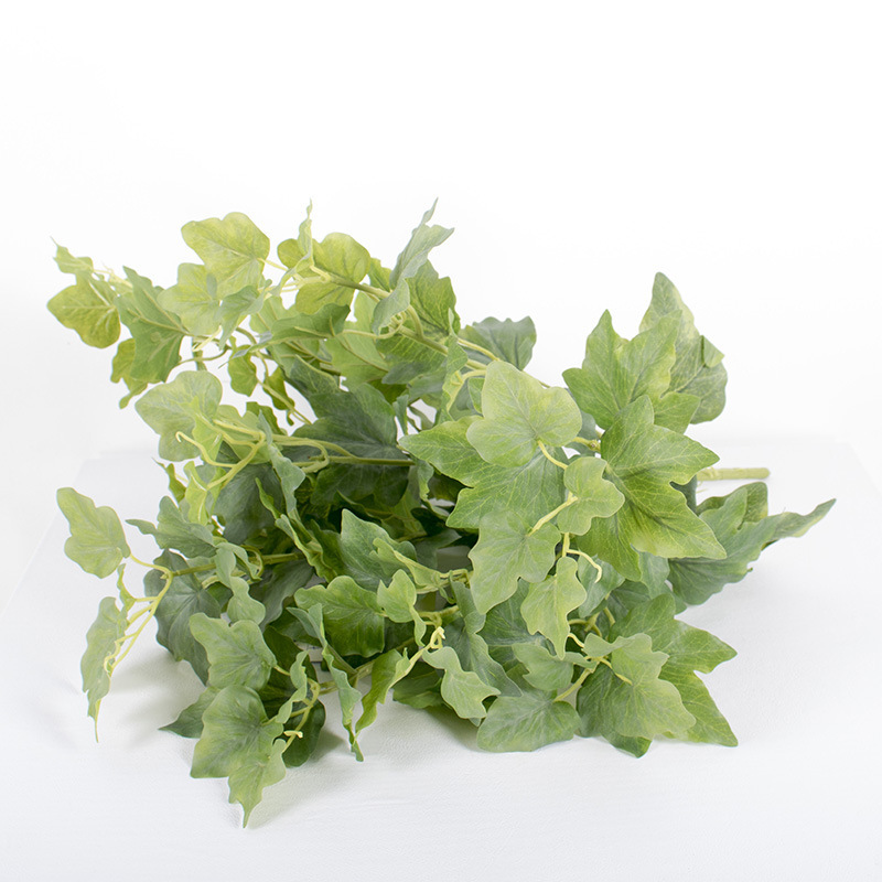 10 hojas de patata dulce