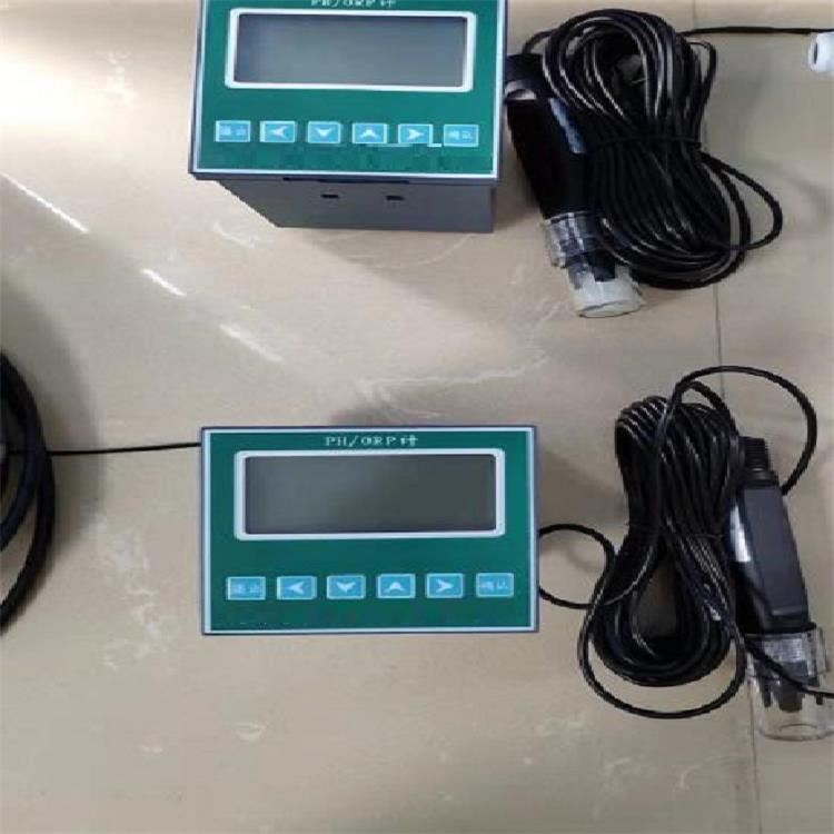 工业PH/ORP计型号:PH12-DHPHG-96FS 库号：M32563