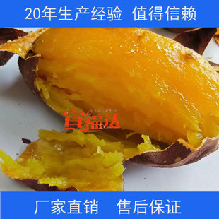 �˸��_�S�ҹ��������濾�C 늼ӟ��B�m���ð������濾�� �عϼt��