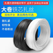 ���|����������Ƅӑ���ͨ����|�����������z�����������������