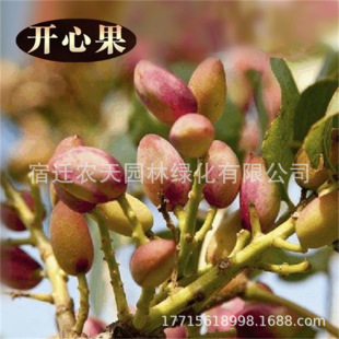 �����_�Ĺ�����G�ʼ޽Ӹ���ˮ�����������҃�ͥԺ�ϱ����ļ��Nֲ