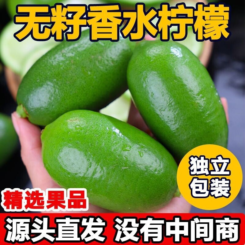 Hainan Seedless Fragrant Lemon 2.5kg Freshly Picked Green Lemons from the Orchard, Special Wholesale for Milk Tea Shops Hainan Seedless Fragrant Lemon 2.5kg Freshly Picked Green Lemons from the Orchard, Special Wholesale for Milk Tea Shops