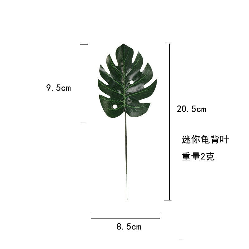 O1CN01m0MNqm1Rhzq04wjs4_!!2818