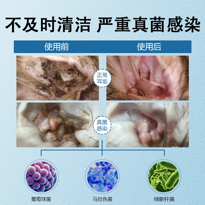 犬猫用ペット耳洗浄液、耳ダニ・耳臭を除去する万能大容量耳洗浄液、ダニ除去・抗菌耳薬|undefined